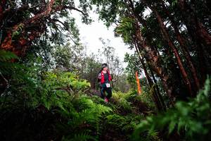 BIB: 
                            <button type="button" onclick="openModal(26203308)" class="btn btn-primary btn-sm float-right btn-popup" data-toggle="modal" data-target=".modal-high-quality">
                        <i class="fas fa-shopping-cart"></i> Add to Cart
                    </button>
                                            <button type="button" onclick="isThisMe(26203308, true)" class="btn btn-success btn-sm float-right btn-popup btn-isme hidden" data-toggle="tooltip" data-placement="bottom" title="นี่คือรูปของคุณใช่ไหม คลิกที่นี่เพื่อเอาเข้าอัลบั้ม">
                        <i class="fas fa-plus"></i> Add to album
                    </button>
                    <button type="button" onclick="isThisMe(26203308, false)" class="btn btn-warning btn-sm float-right btn-popup btn-isnotme hidden">
                        <i class="fas fa-ban"></i> Remove from album
                    </button>